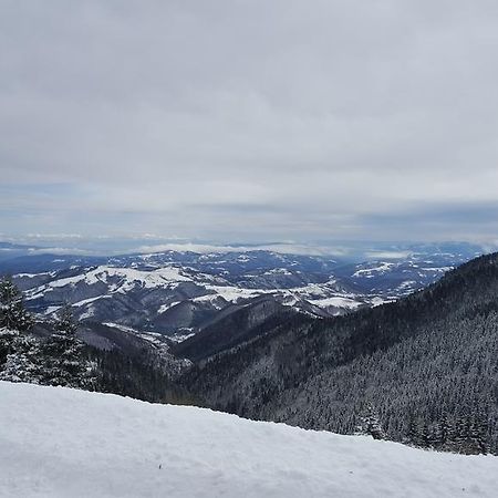 Apartment Nika Kopaonik Kültér fotó