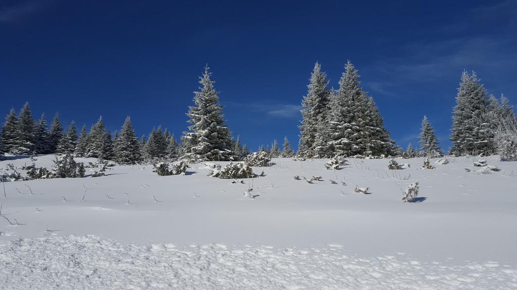 Apartment Nika Kopaonik Kültér fotó